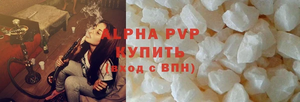 индика Беломорск