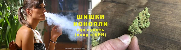 индика Беломорск