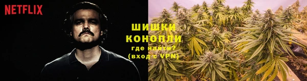 индика Беломорск
