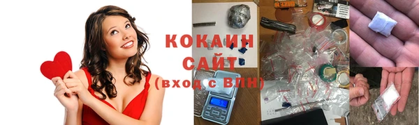 индика Беломорск
