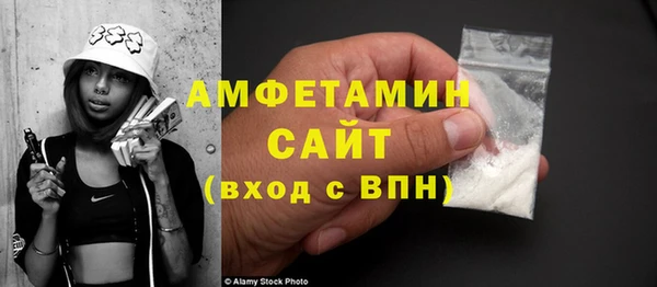 индика Беломорск
