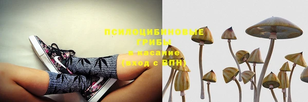 MDMA Premium VHQ Белокуриха