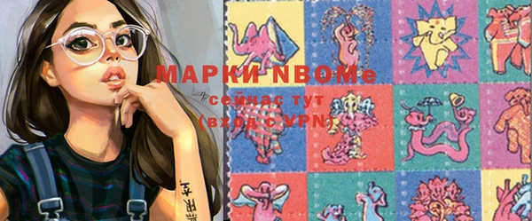 индика Беломорск