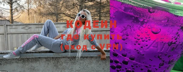 индика Беломорск