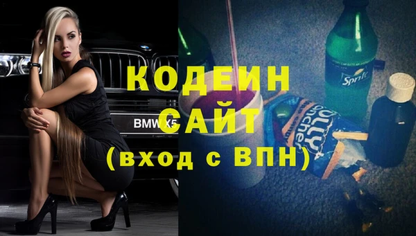 индика Беломорск
