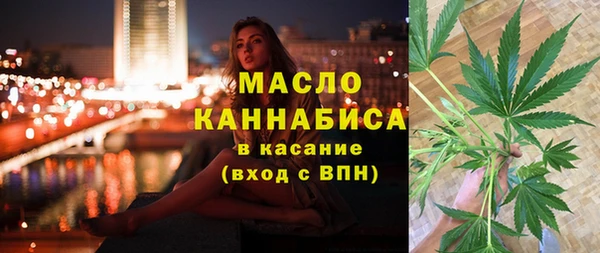 индика Беломорск