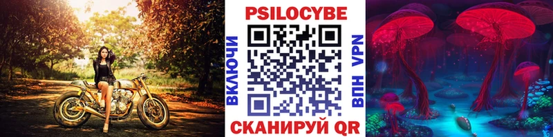 Галлюциногенные грибы Psilocybe  где найти наркотики  Кулебаки 